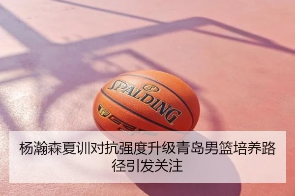 杨瀚森夏训对抗强度升级青岛男篮培养路径引发关注